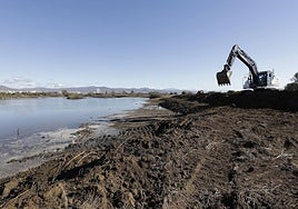 Picture from last autumn during maintenance work in the wetlands