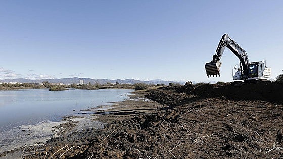 New islets, larger lakes and debris removal: this is how Malaga's estuary nature reserve will be revived