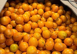 Oranges from Egypt in bulk.