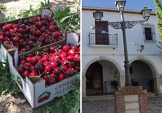 Although the harvest is lower than in other seasons, cherries can still be bought. On the right, the Nuestra Señora de Monsalud chapel is one of the most emblematic places in the village.