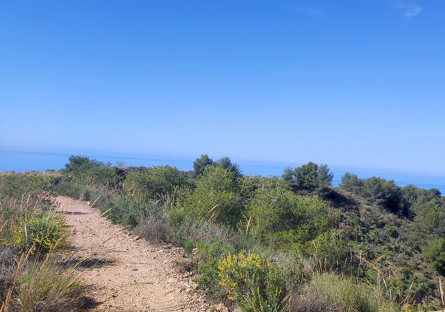 The vegetation along the path is abundant with shrubs and aromatic plants.