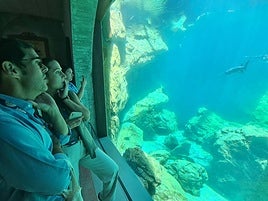 The Infinite Journey at Bioparc Fuengirola, in pictures