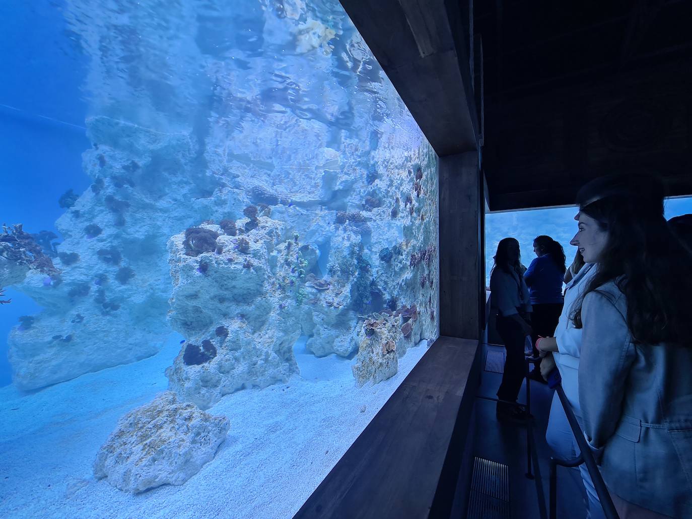 The Infinite Journey at Bioparc Fuengirola, in pictures