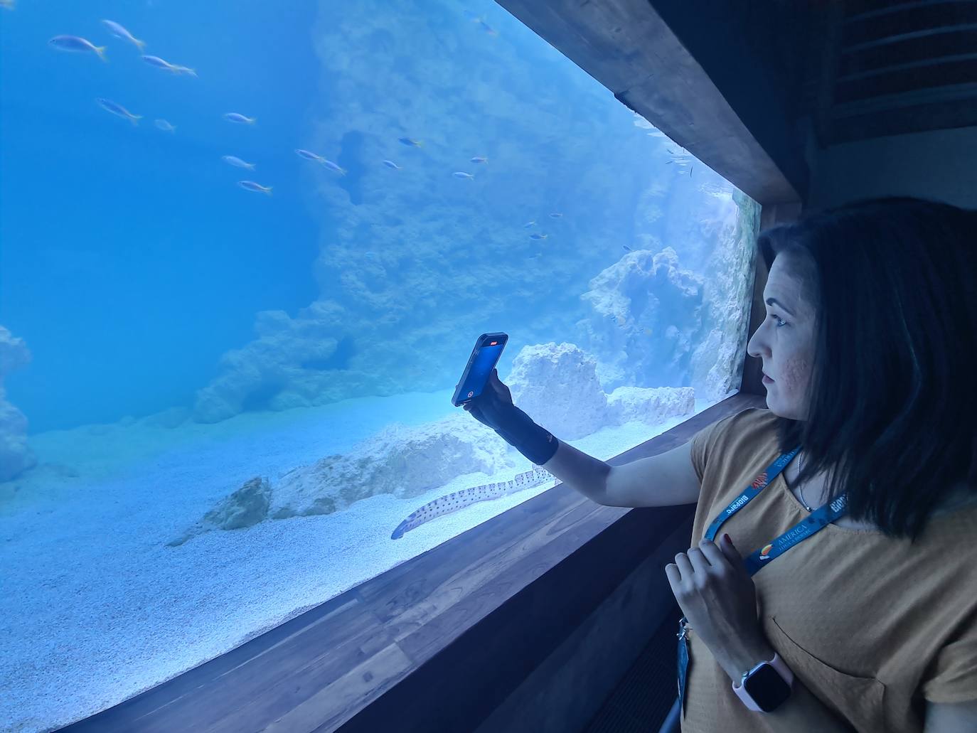 The Infinite Journey at Bioparc Fuengirola, in pictures