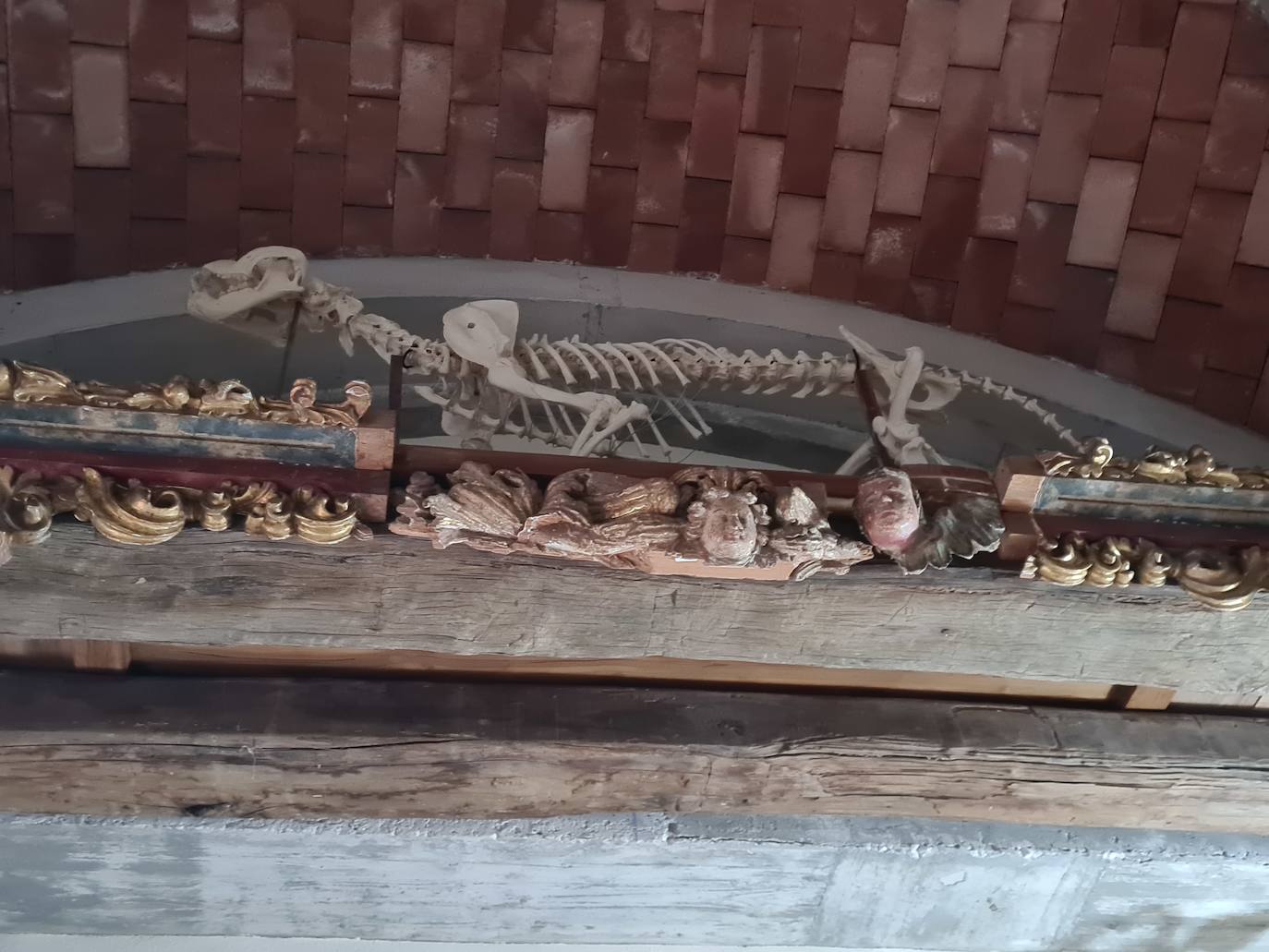 The Infinite Journey at Bioparc Fuengirola, in pictures