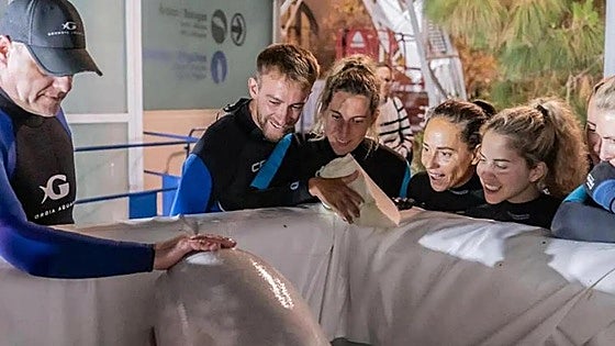 Video: Two beluga whales are rescued from dolphinarium in Ukraine and transferred to new home in Spain