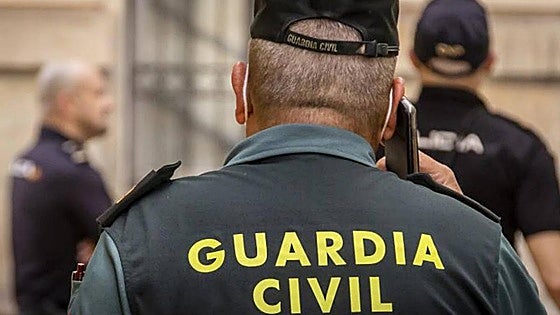 Operation Happy: Sophisticated network trafficking drugs to France dismantled on southern coast of Spain