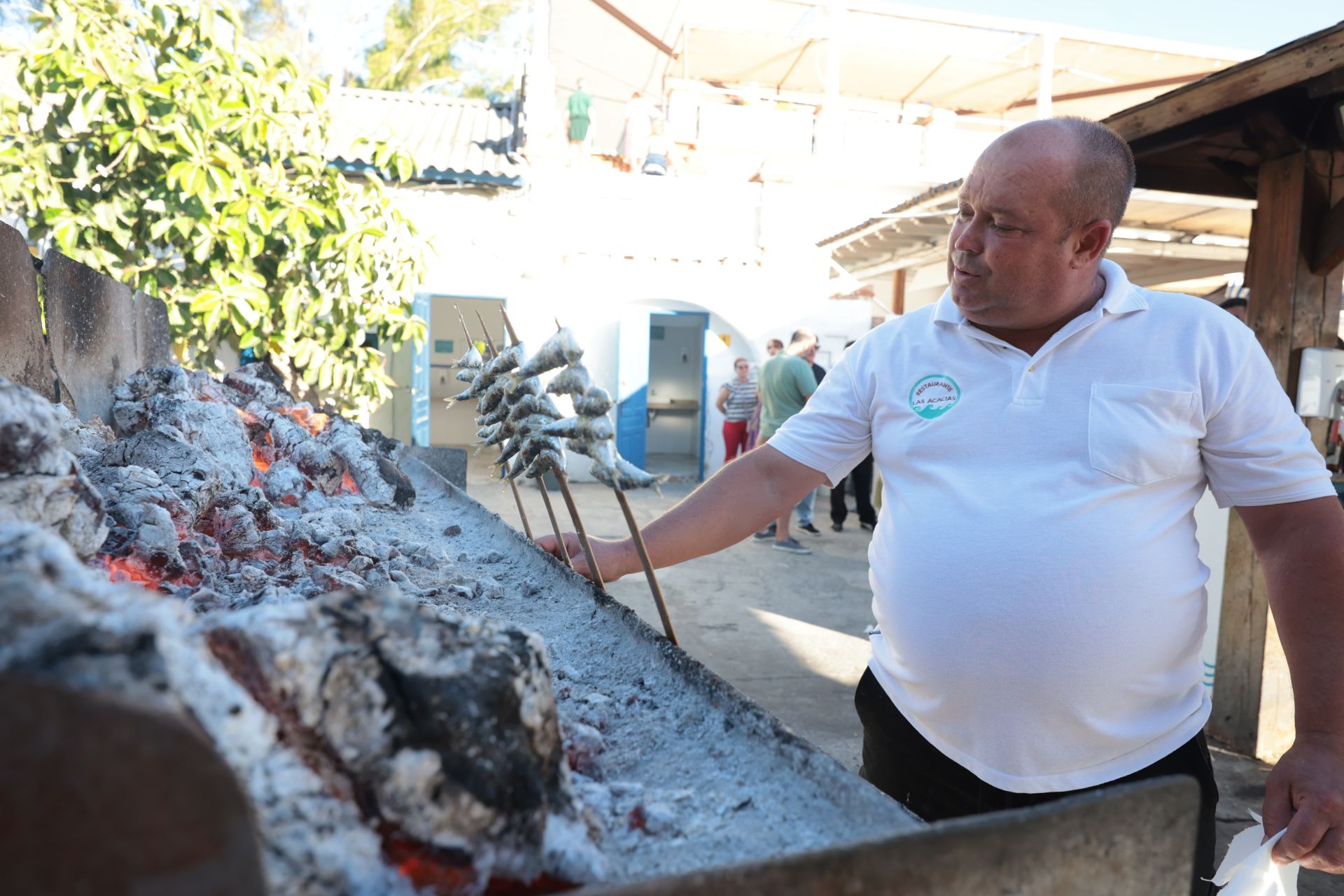 Finalists in the search for the best sardines on the Costa del Sol, in photographs