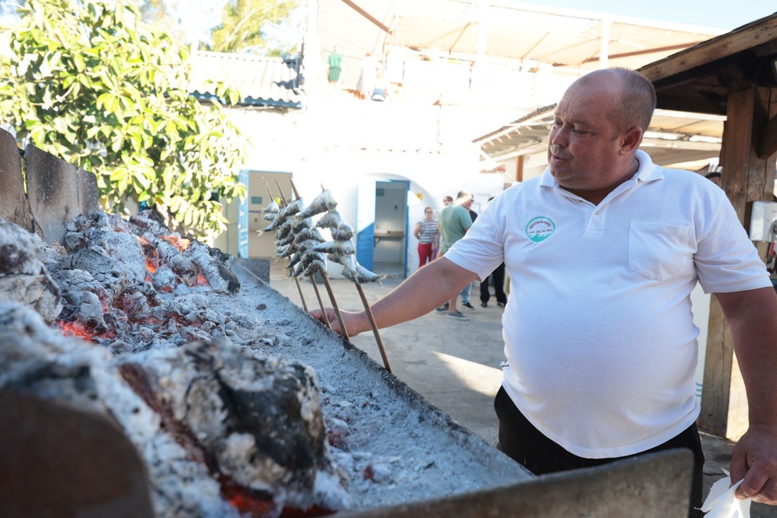 Finalists in the search for the best sardines on the Costa del Sol, in photographs
