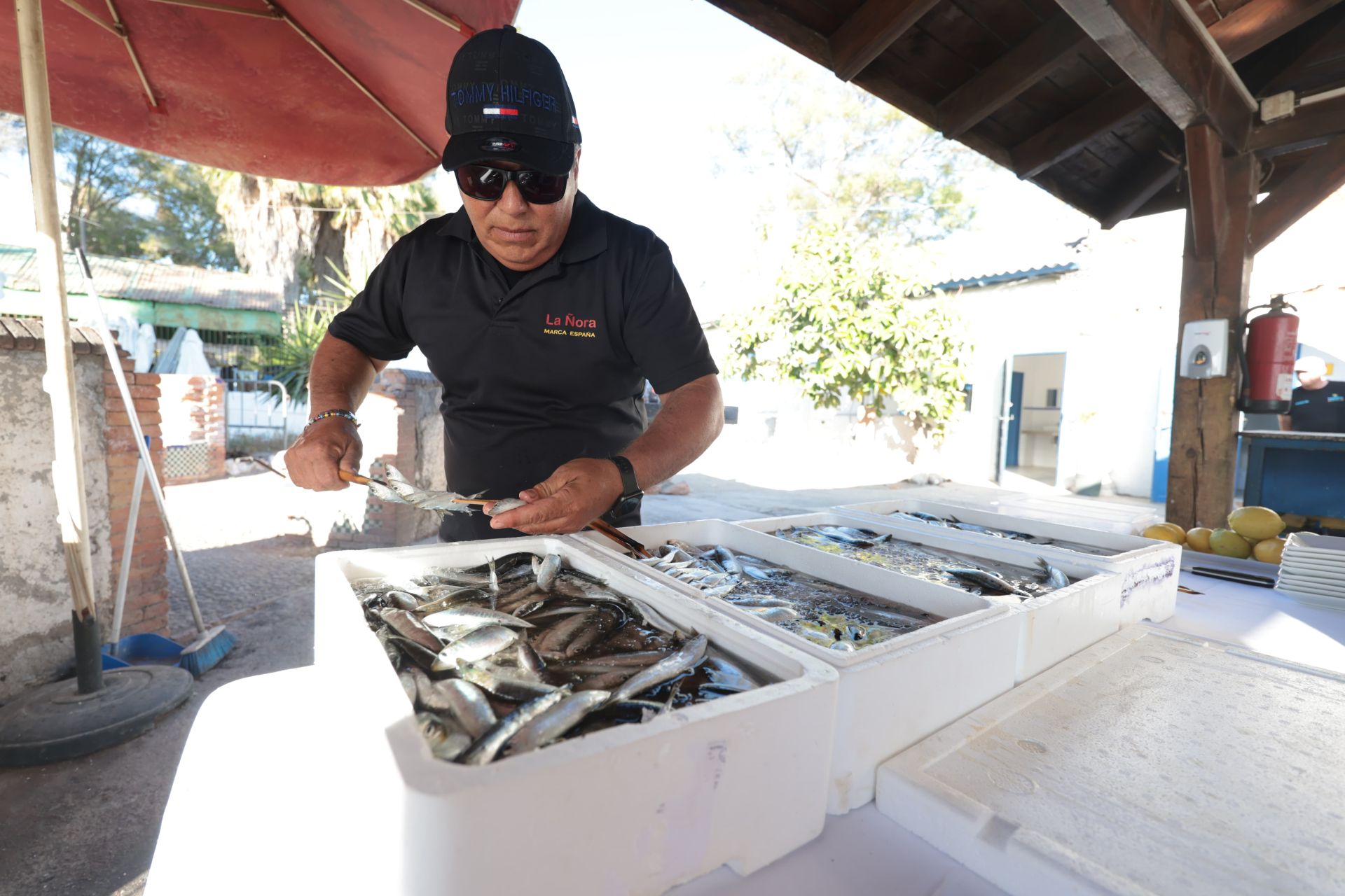 Finalists in the search for the best sardines on the Costa del Sol, in photographs