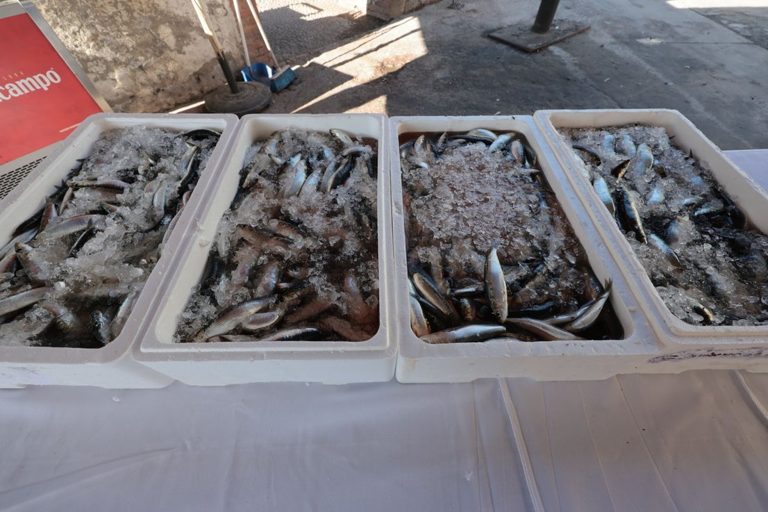 Finalists in the search for the best sardines on the Costa del Sol, in photographs