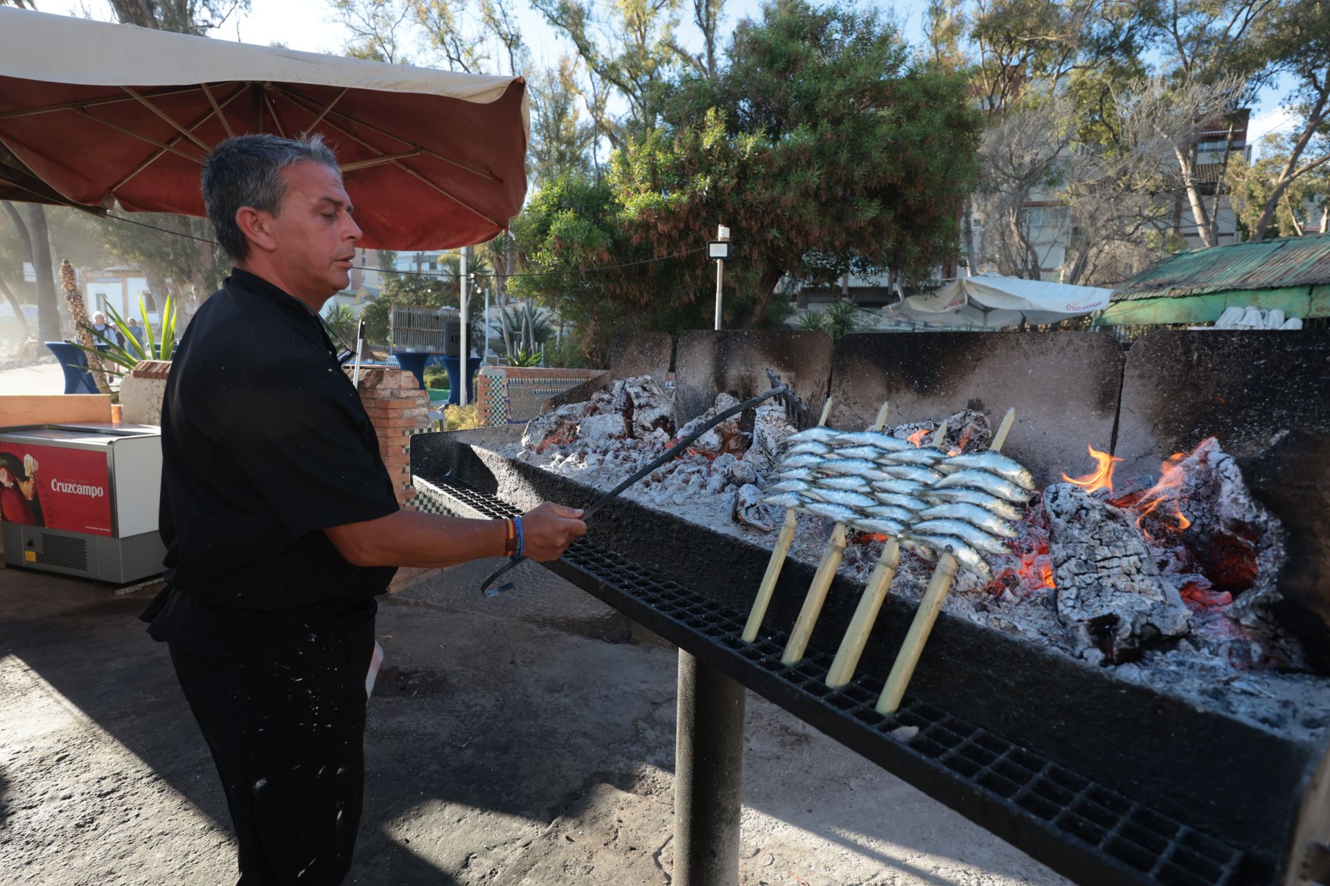 Finalists in the search for the best sardines on the Costa del Sol, in photographs