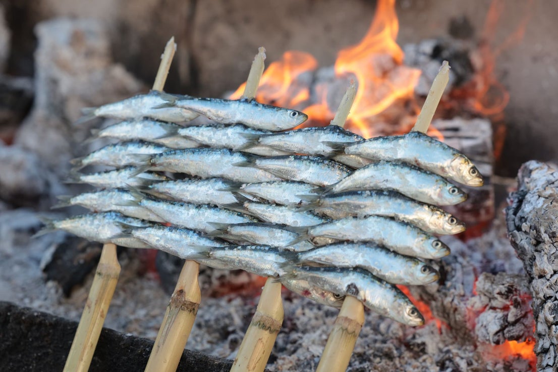 Finalists in the search for the best sardines on the Costa del Sol, in photographs