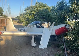 Photo of the plane that crashed into an avocado plantation near Vélez-Málaga.