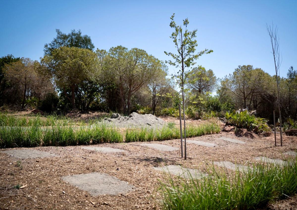 Imagen secundaria 1 - Spain&#039;s first public pet cemetery opens on the Costa del Sol