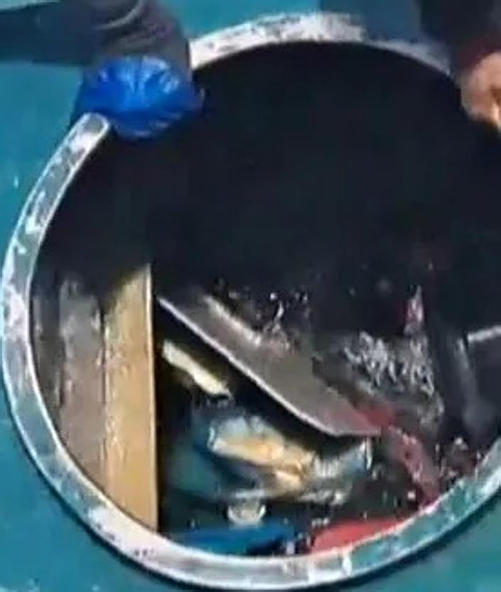 Imagen secundaria 2 - This is the moment four drug traffickers were arrested after narco-submarine was intercepted off coast of Spain