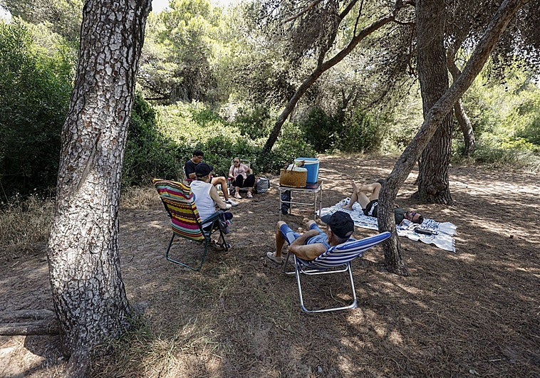 Make shade your friend in the summer.