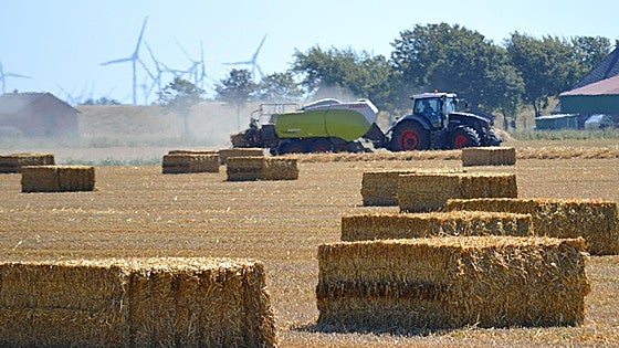 Seven-year-old boy dies in Spain after being hit by tractor driven by relative