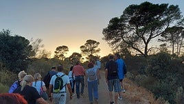 Things to do when the sun goes down across Malaga province this summer