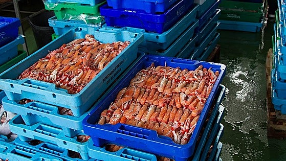 Andalucía's fish exports rise by 71.6 per cent in eight years