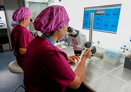 Ovoclone's laboratory facilities where the cloning of the pets is carried out in Marbella.