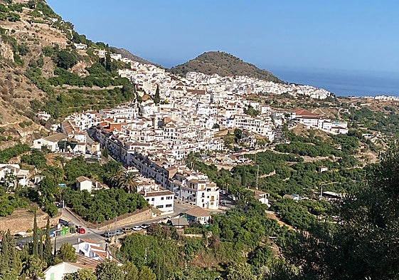 Frigiliana is home to a number of subtropical fruit plantations.