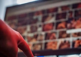 Internet porn consumption.