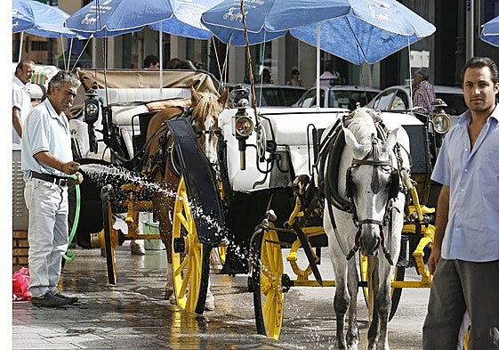 The council complains the coachmen do not maintain their facilities.