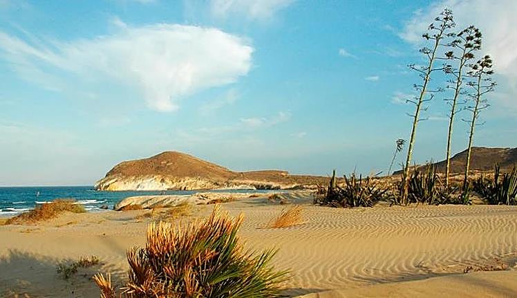 Los Genoveses beach.