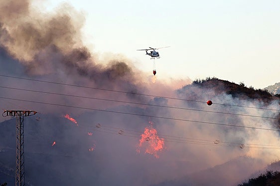 Photo special: Forest fire in Nagüeles area of Marbella declared stabilised