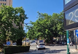 A street thermometer reads an enviable 29C in Malaga today.