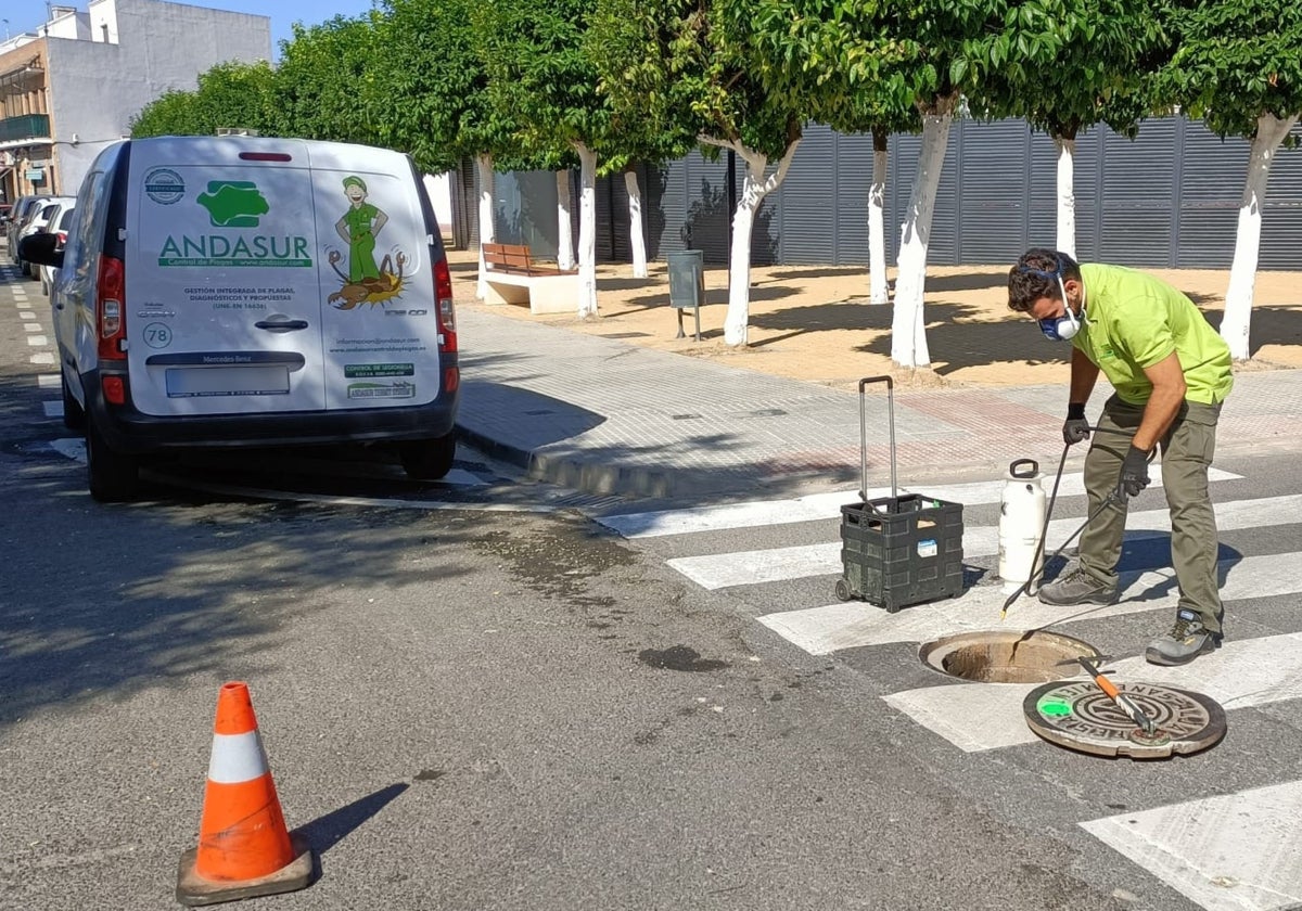 An operator from the previous concessionaire applies a treatment to the sewerage network.