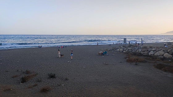 Arroyo Totalán, a beach hideaway for dogs on Malaga's municipal border