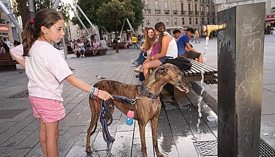 Spain's state weather agency issues special heatwave warning