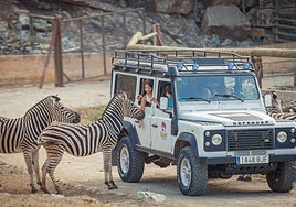 Selwo Aventura in Estepona.