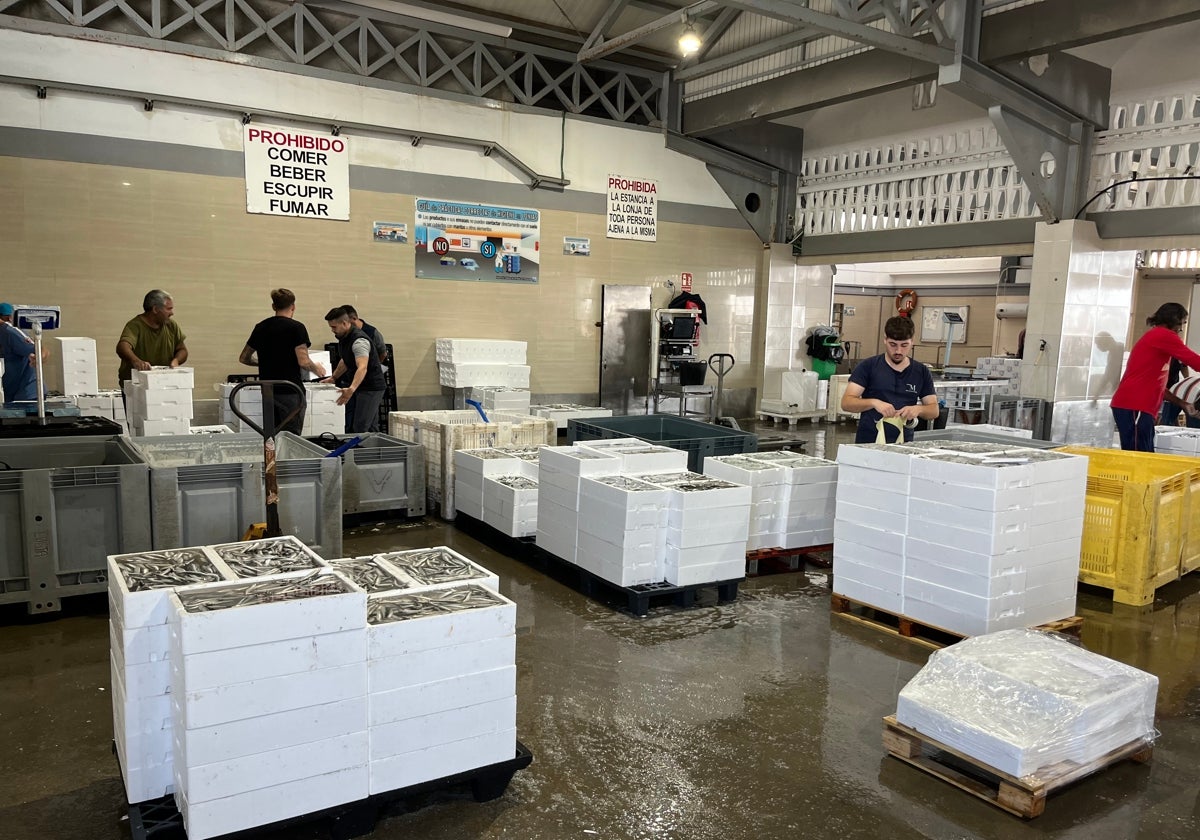 Image of the Caleta de Vélez harbour market, which is awaiting the construction of a new one.