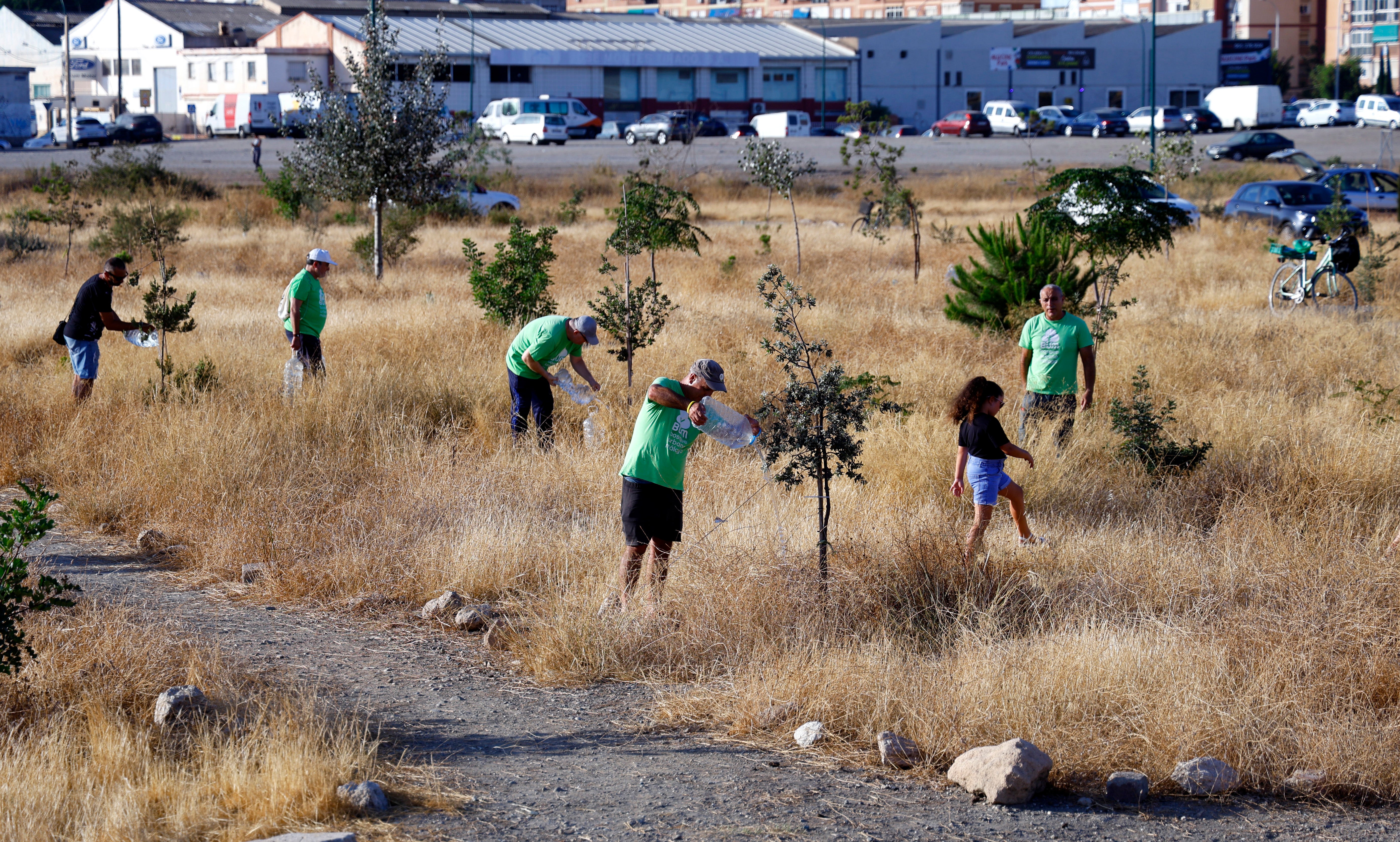 Imagen principal - The urban forest that is slowly taking shape in the heart of Malaga