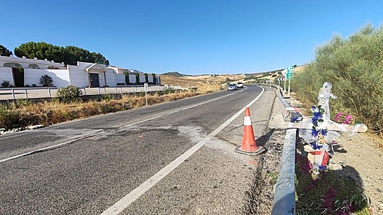 Silver wedding couple's daughter among dead in horror accident in Malaga province