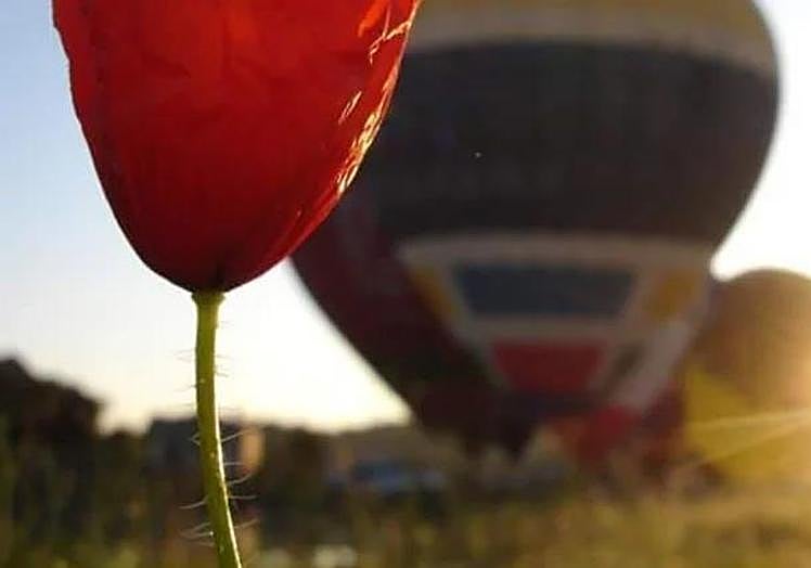 Flights start early in the morning.