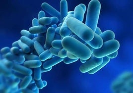 Benalmádena mayor blasts former local government team for not carrying out legionella prevention measures