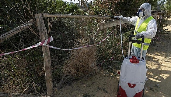 Junta de Andalucía confirms death of a woman from West Nile virus and identifies ten new cases