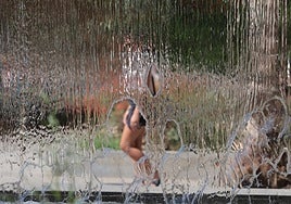 A tourist walks alongside a fountain in Malaga city.