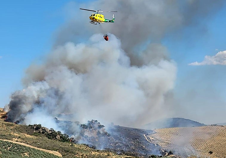 Video: Wildfire declared in north of Malaga province