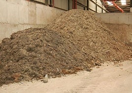 Over 7,200 tonnes of invasive Asian seaweed collected on western Costa del Sol beaches recycled