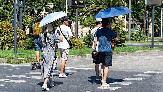Malaga province town registers highest maximum temperature in Andalucía with 43.1C