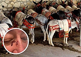 The tourist allegedly assaulted on Sunday 18 August