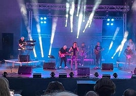 The group on stage during a previous show.