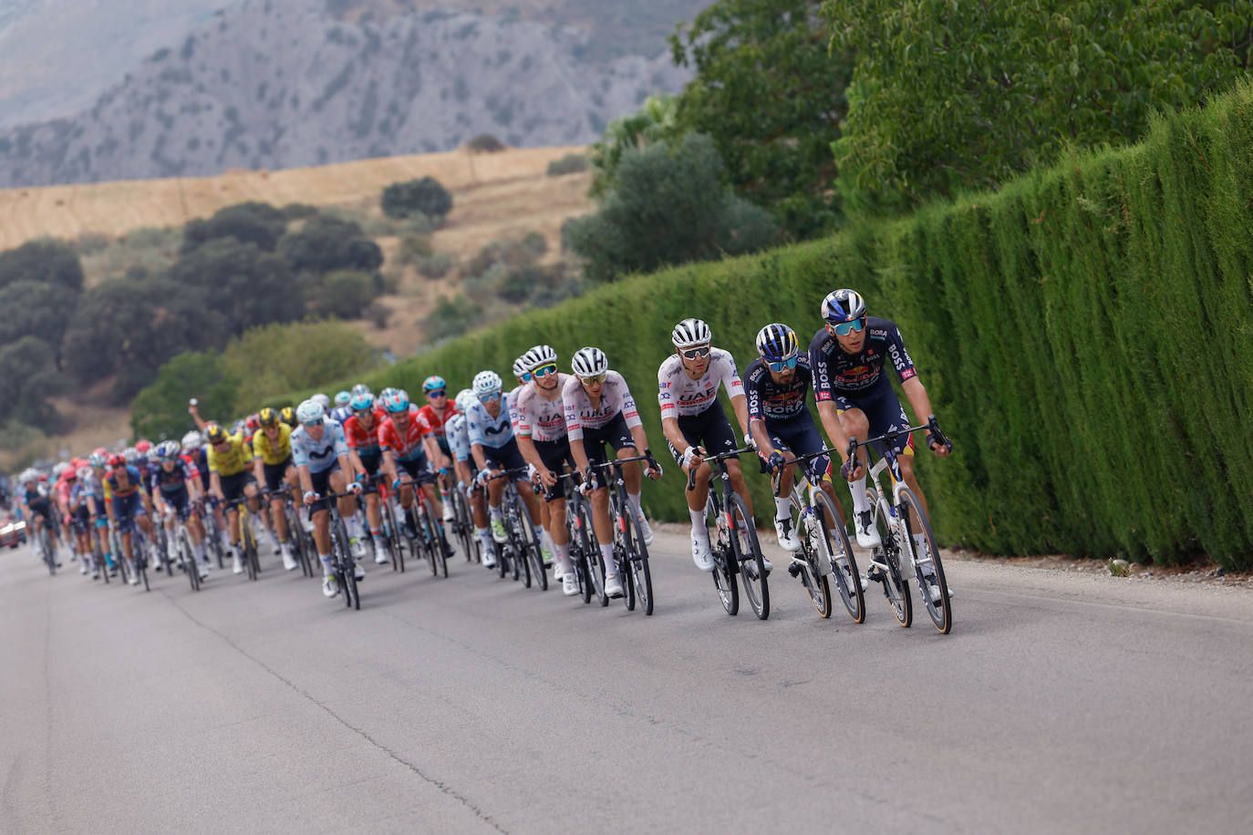 Vuelta a España pro cycle event races through inland Malaga towns and villages, in photos
