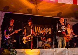 Power-punk band The Wasps will perform on the Saturday. SUR