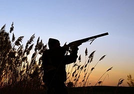 The are the new restrictions for hunters in Andalucía